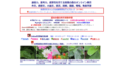 Desktop Screenshot of mori7.com